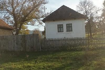 Casă cu Teren 7000 Mp în Fâșca - 5