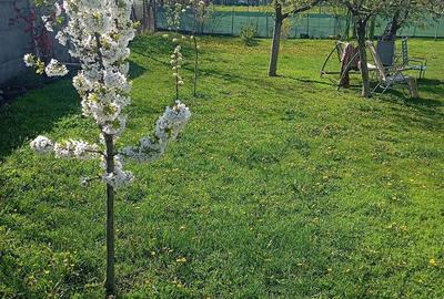 Teren de 250 mp, în Becicherecu Mic