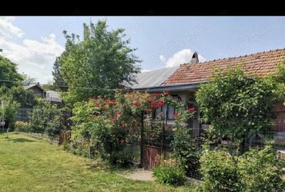 Teren de 1746 mp, în Orbeasca