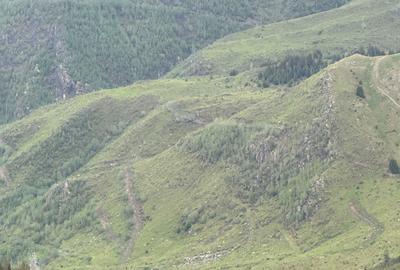 Teren de 1100000 mp, în Nucșoara - 5