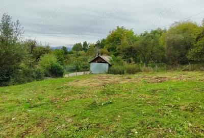 Teren de 5400 mp, în Bughea de Jos - 7