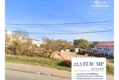 Teren Construcții intravilan de 8000 mp, în Nord-Vest - 2