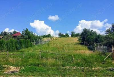 Teren în Racșa
