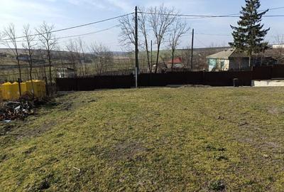 Casă cu 3 camere în Movileni