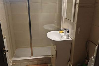 Apartament cu 3 camere semidecomandat în Buzaului - 8