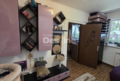 Apartament cu 2 camere semidecomandat, mobilat în Valea Rosie - 11