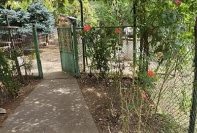 Casă individuală cu 2 camere cu Teren 2000 Mp în Movilița - 16