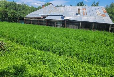 Teren intravilan de 960 mp, în 9 Mai - 7