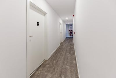 Spațiu industrial, de 3,446 mp, în Sânandrei - 23