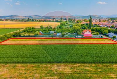 Teren intravilan de 1652 mp, în Bod - 3
