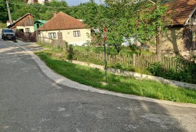 Teren de 1050 mp, în Valea Doftanei - 2