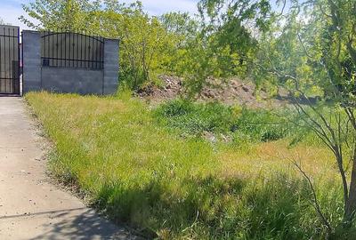 Casă cu Teren 1400 Mp în Tormac - 1