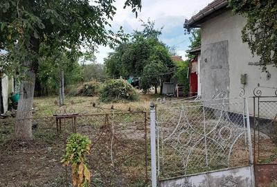 Casă cu Teren 800 Mp în Lunca Mureșului
