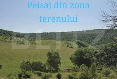 Teren de 1200 mp, în Sălicea - 3