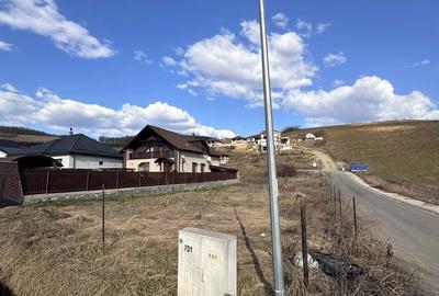 Teren de 958 mp, în Sâncraiu de Mureș - 3