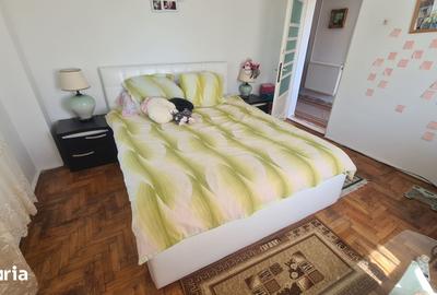 Casă cu 8 camere cu Teren 3145 Mp în Bradu