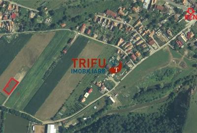 Spațiu comercial, în Șard - 2