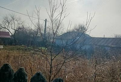 Teren de 12500 mp, în Brănești - 7