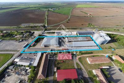 Spațiu industrial, de 13,917 mp, în Vladimirescu - 6