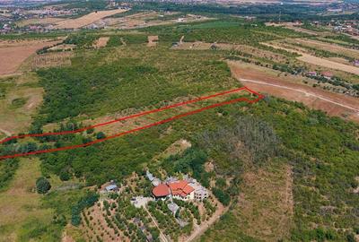 Teren Construcții intravilan de 10391 mp, în Săldăbagiu de Munte - 2