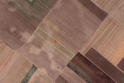 Teren de 12576 mp, în Berceni