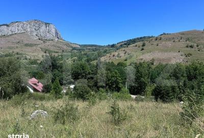 Teren de 6000 mp, în Central