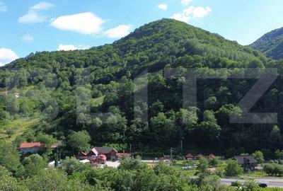 Casă cu Teren 1343 Mp în Căpâlna - 8