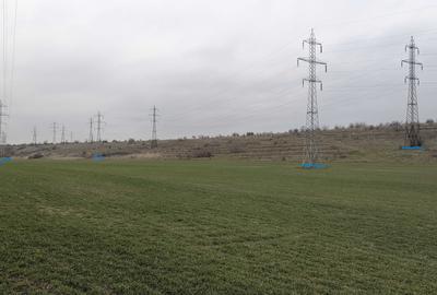 Teren de 30000 mp, în Exterior Vest