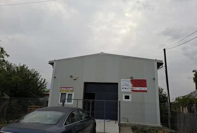 Spațiu comercial, de 220 mp, în Păltinișu - 3