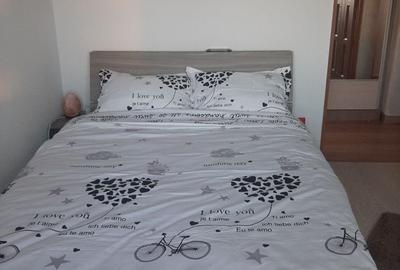Apartament cu 2 camere decomandat în Popa Șapcă - 3