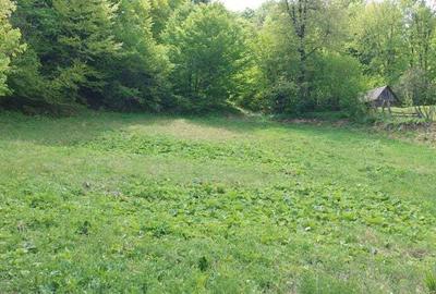 Teren de 12820 mp, în Agăș - 6