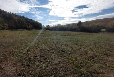 Teren de 1083 mp, în Cladova - 4
