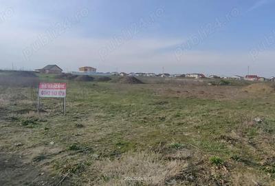 Teren de 650 mp, în Săcălaz - 1