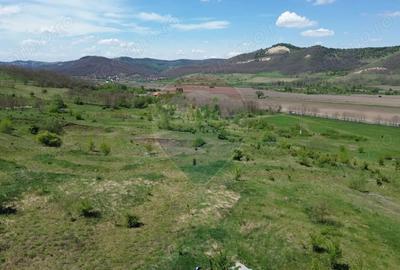 Teren de 659000 mp, în Copșa Mică - 8