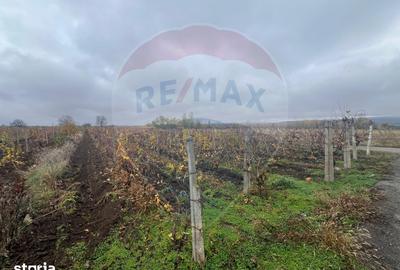Teren de 2727 mp, în Cârligele