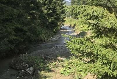 Teren de 3600 mp, în Sucevița - 1