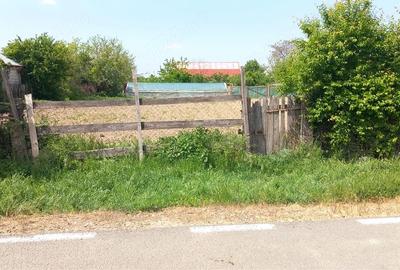 Teren de 1000 mp, în Nămoloasa - 6