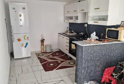 Casă cu Teren 1200 Mp în Scorțaru Nou