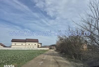 Teren de 540 mp, în Stănișești - 2