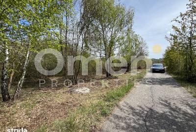 Teren de 842 mp, în Mireșu Mare - 4