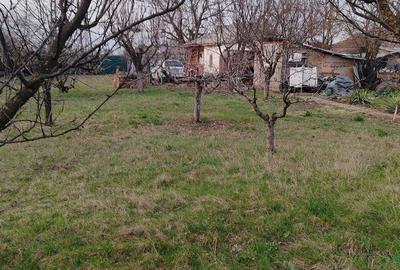 Casă cu Teren 900 Mp în Toporu - 1
