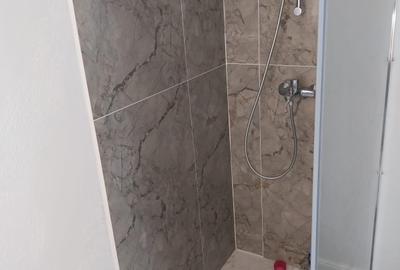 Apartament cu 3 camere decomandat, mobilat în Central - 26