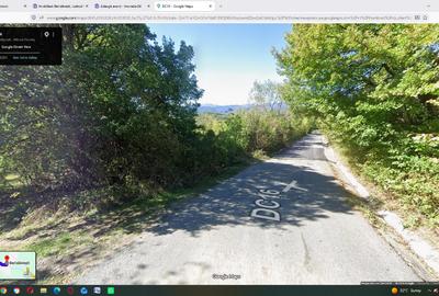 Teren Construcții intravilan de 5000 mp, în Berislăvești