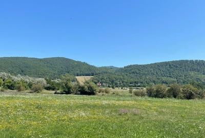 Teren de 4786 mp, în Coman
