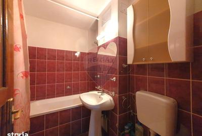 Apartament cu 2 camere decomandat, mobilat în Aurel Vlaicu - 4