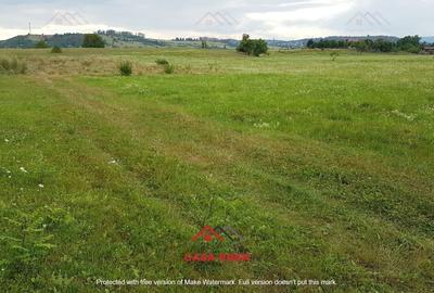 Teren Construcții intravilan de 1527 mp, în Câmpina - 6