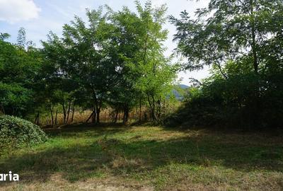 Teren de 353 mp, în Bujoreni - 2