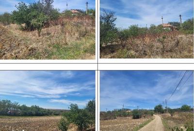 Casă cu 2 camere cu Teren 1691 Mp în Măgura