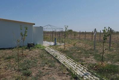 Teren de 1300 mp, în Plătărești - 10