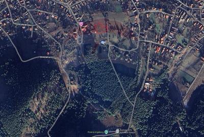 Teren Construcții intravilan de 726 mp, în Central - 13